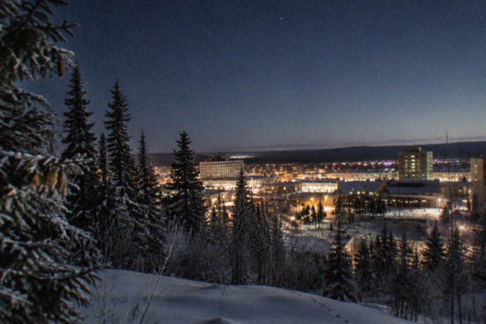 Snow-covered spruce forest under a starry night sky on the edge of Fairbanks