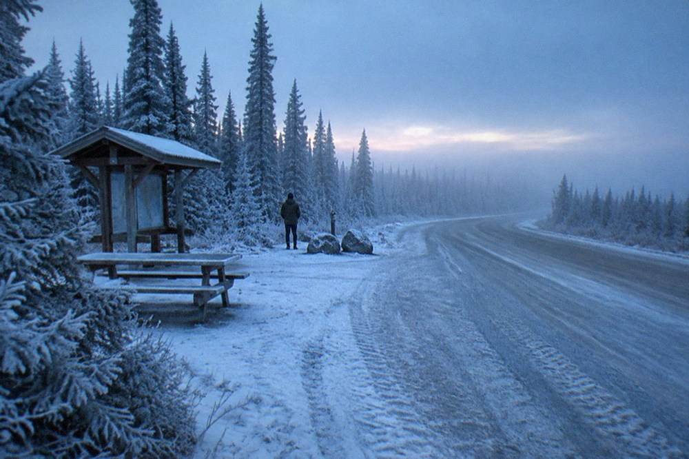 Frost-covered roadside spruce trees along a quiet winter highway in Interior Alaska