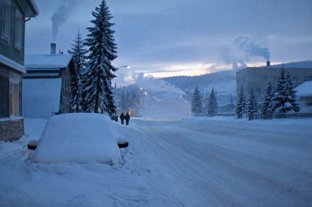 Frost-covered spruce trees and a snow road under a dim blue twilight in Interior Alaska