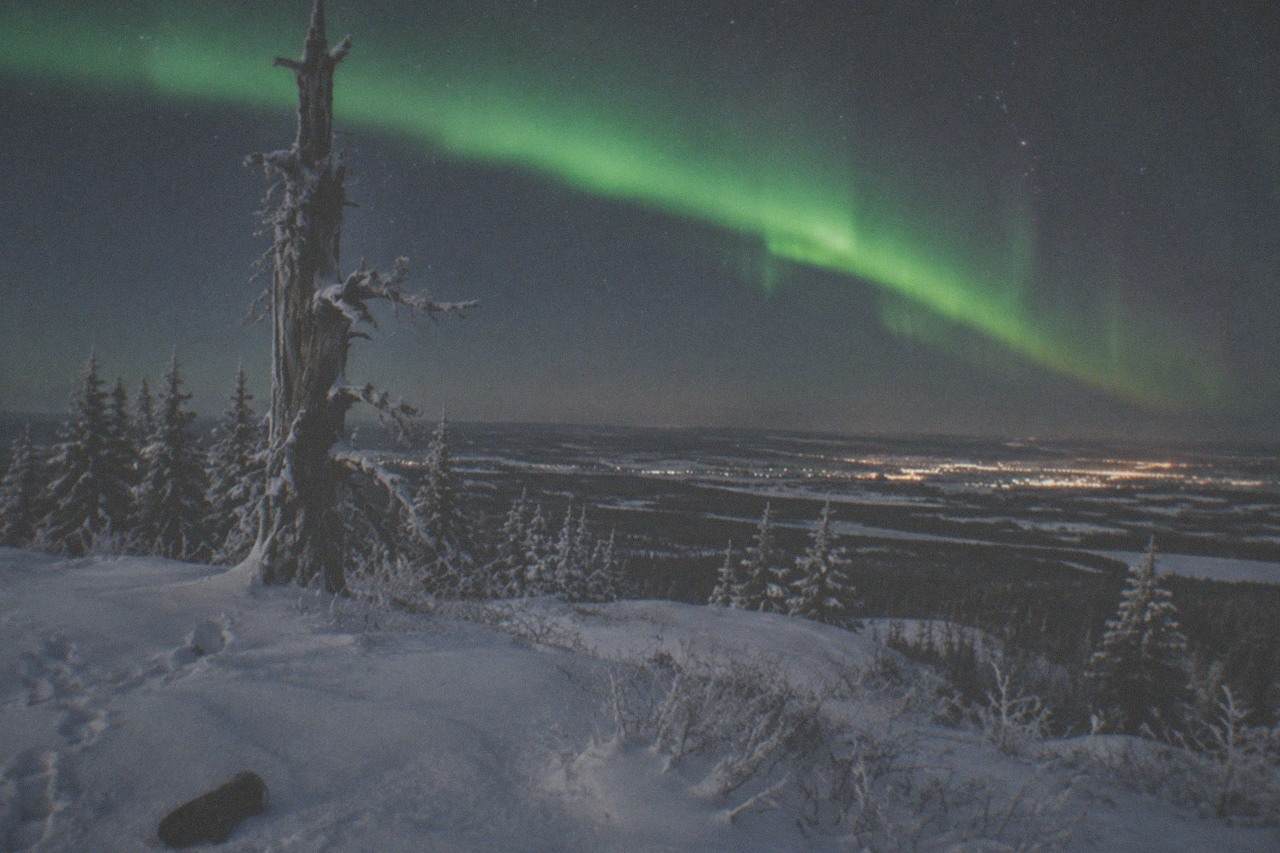 Snow-covered clearing north of Fairbanks under a green aurora arc stretching across a starry winter sky