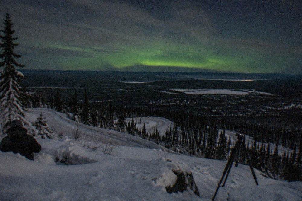 A wide night sky above frozen boreal forest with a faint green aurora glow near the horizon