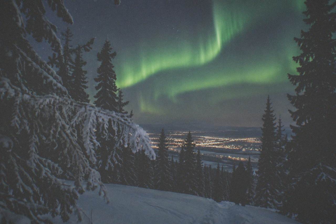 Green aurora bands arching over a snowy spruce forest under a starry sky in interior Alaska