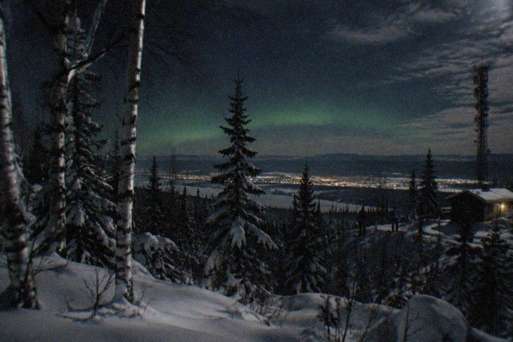 A dark winter sky above a snow-covered boreal forest with a faint green arc of light near the horizon.