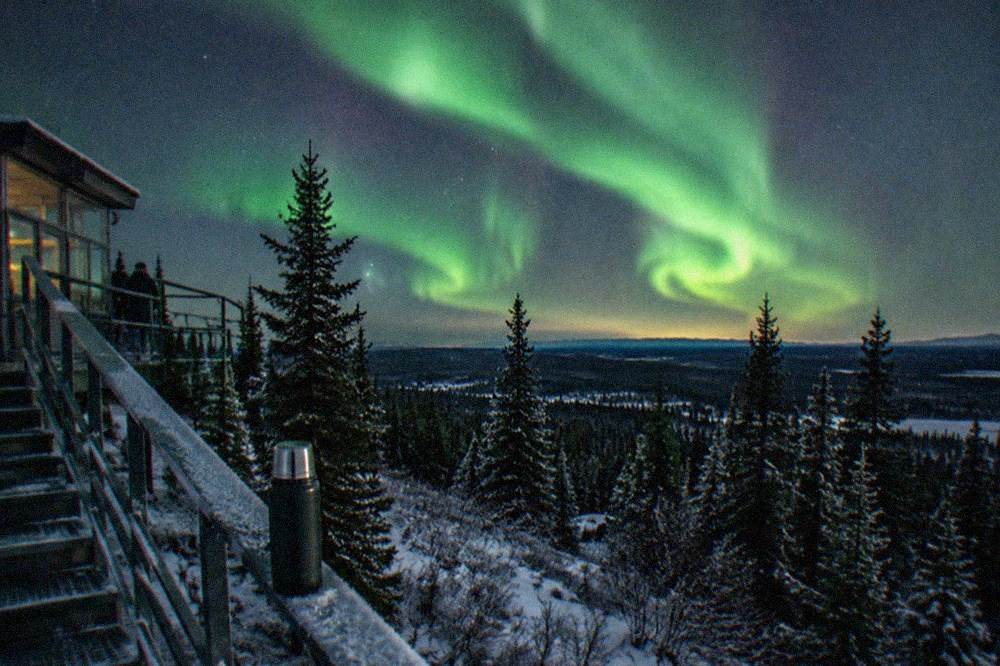 Green aurora bands arcing over a snowy forest clearing with a dim horizon