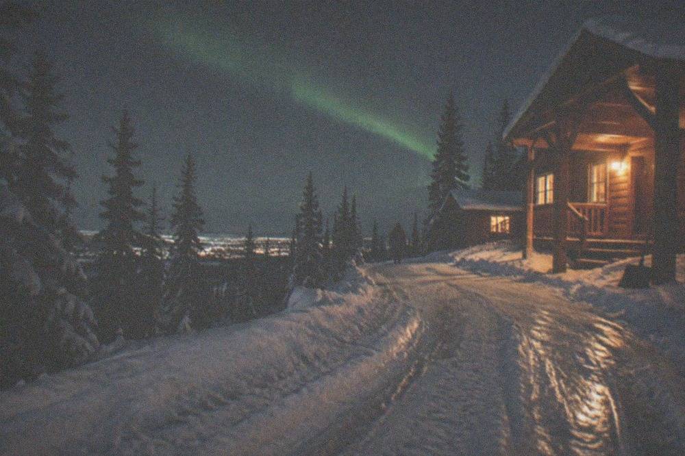 Night sky above a warmly lit lodge with a snow-covered road leading toward it