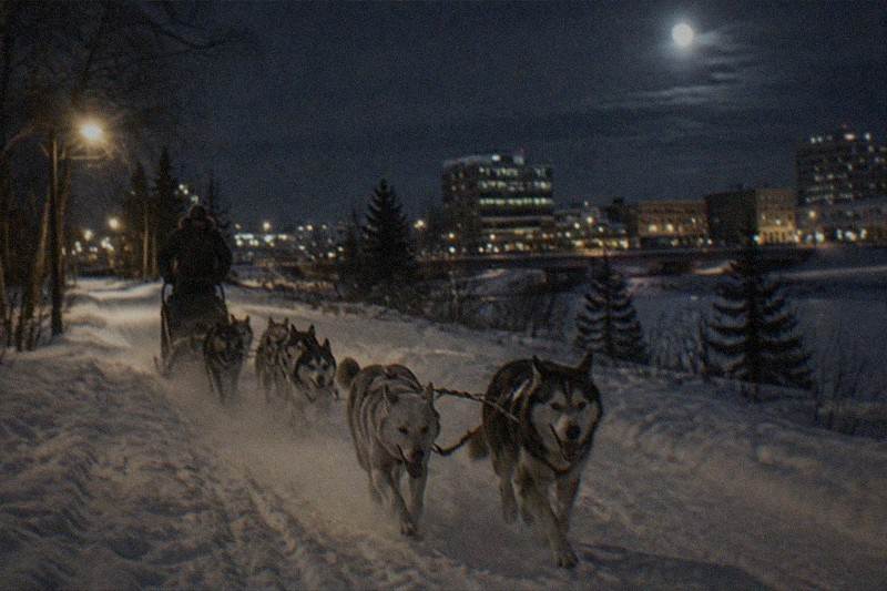 A dogsled team running through the night near Fairbanks, Alaska