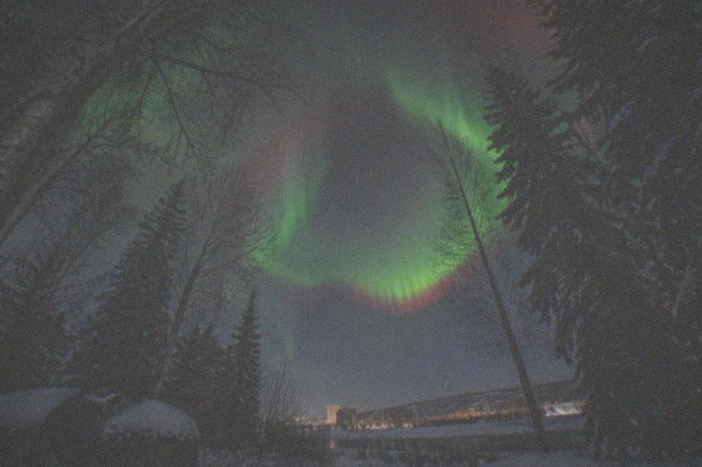 A bright corona of green and faint red aurora directly overhead above a snowy clearing