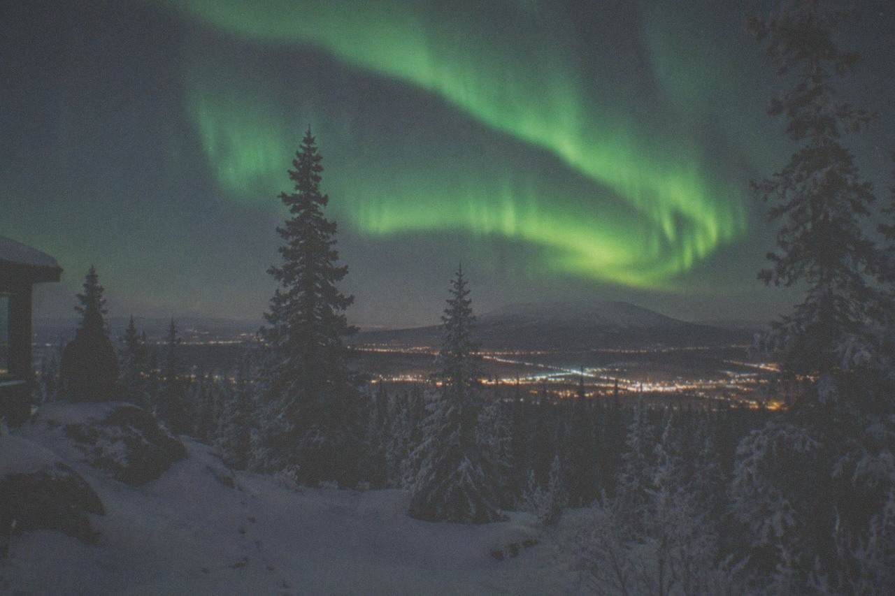 Green aurora curtains above a dark spruce forest near Fairbanks on a clear winter night