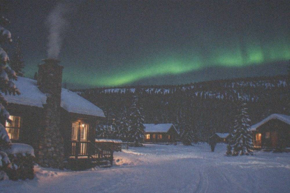 A green aurora band above a snowy hillside and dark spruce forest