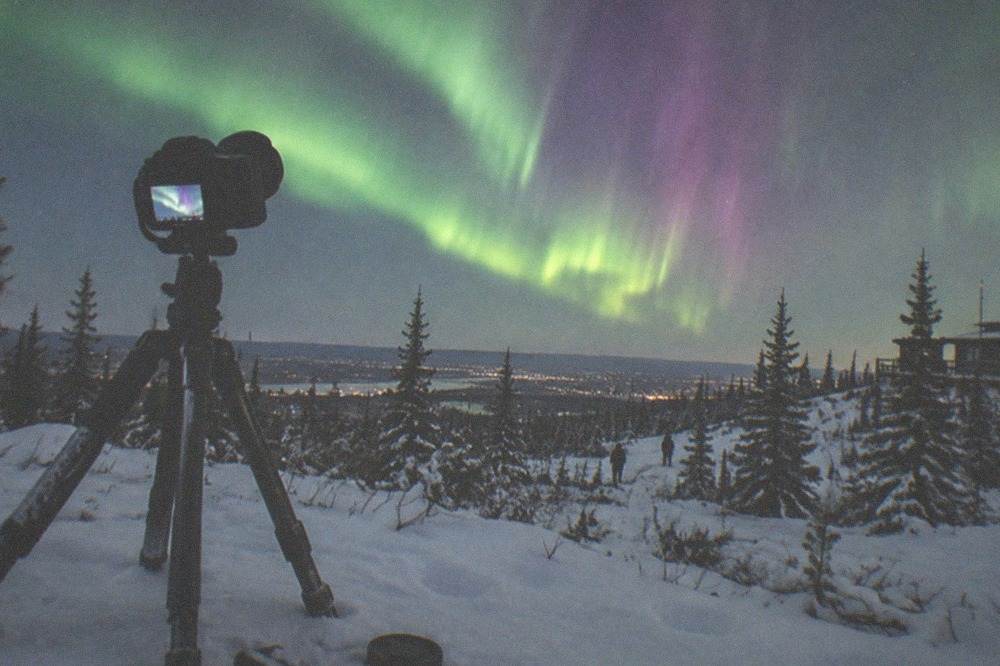 A camera on a tripod pointed at purple and green aurora curtains above a snowy forest clearing