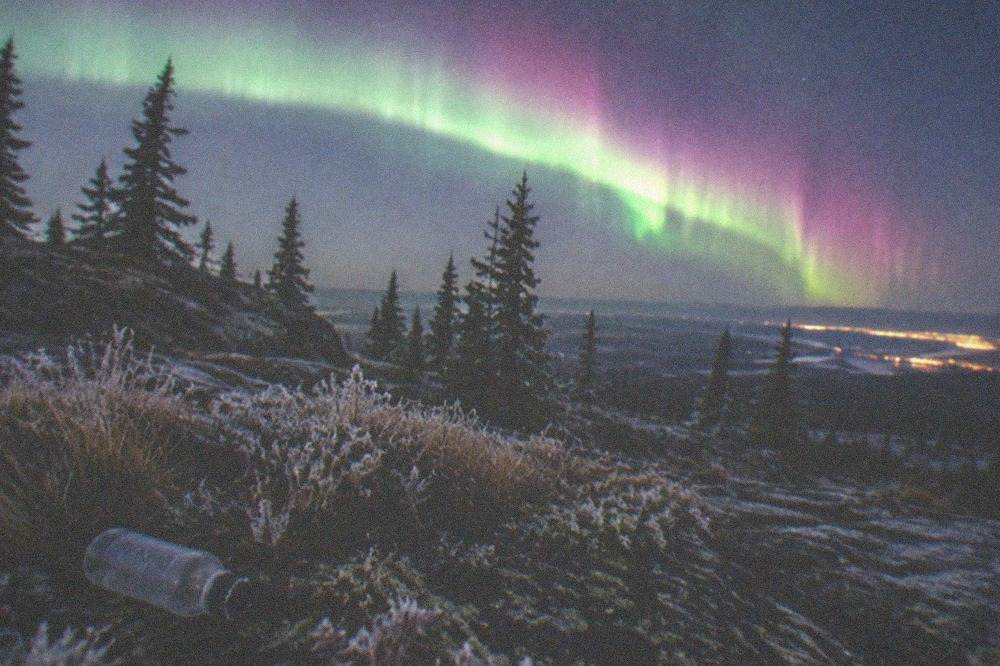 A wide dark sky with a bright curving aurora arc above silhouetted black spruce tips