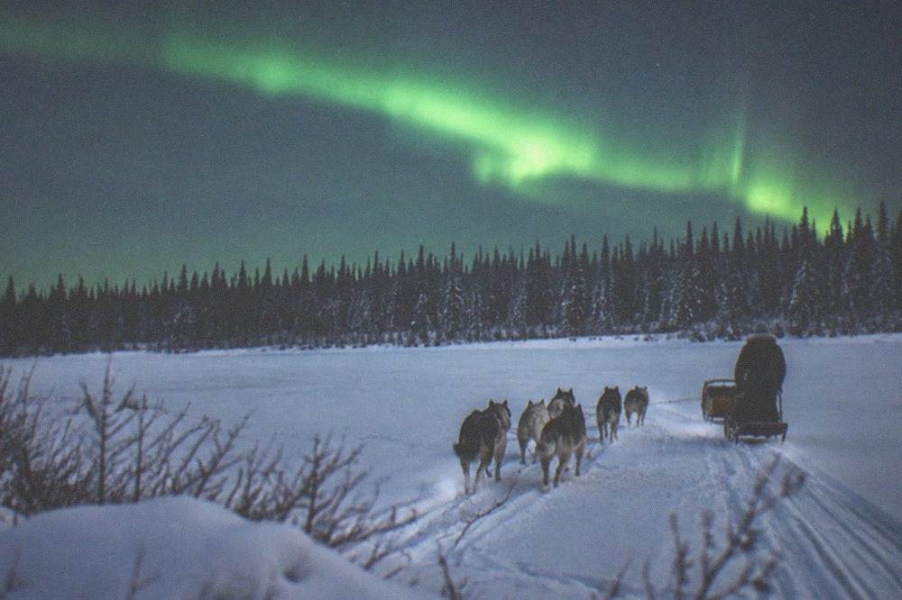 A sled team moving across a wide snowy clearing under a green aurora band