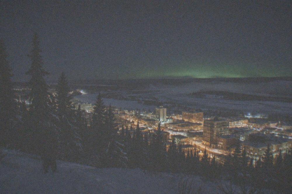 Snow-covered spruce forest under a starry night sky with a faint green glow on the horizon
