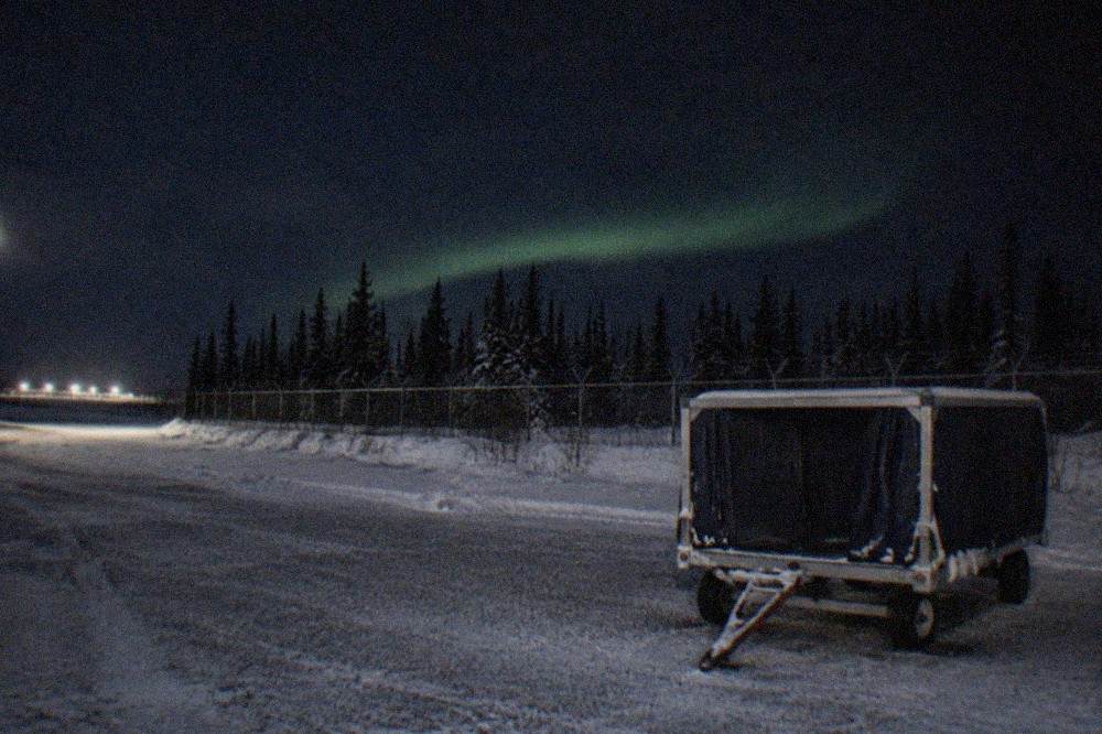 A dark Interior Alaska night sky with a faint green aurora arc low over black spruce trees
