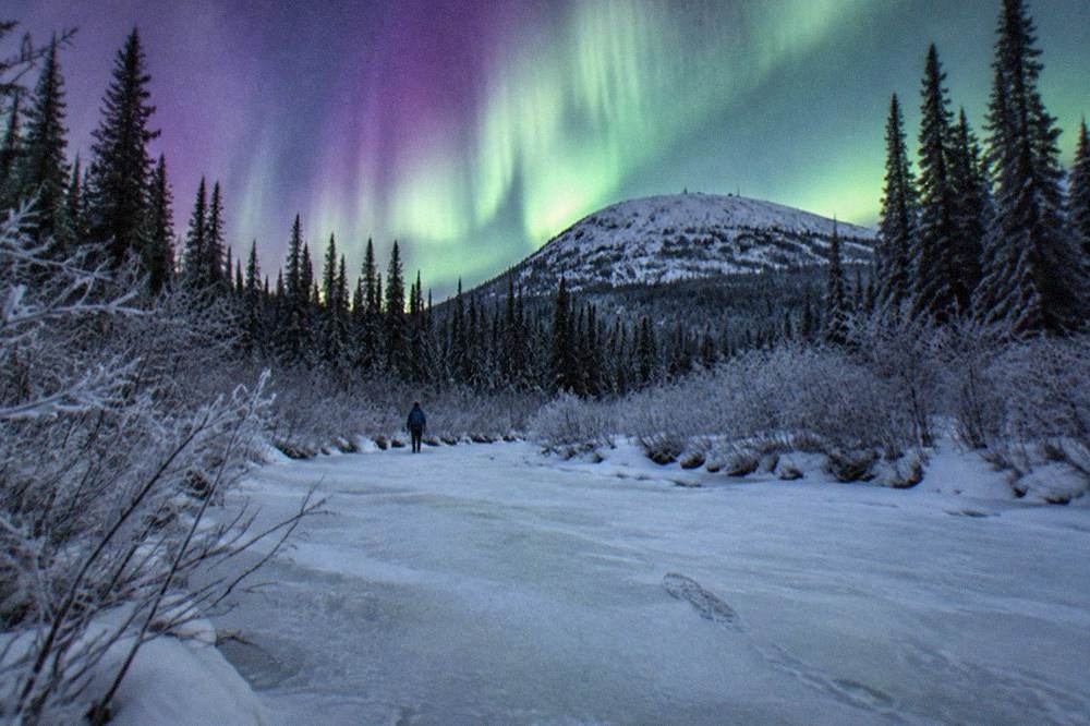 Purple and green aurora curtains above a Fairbanks-area river valley in early spring