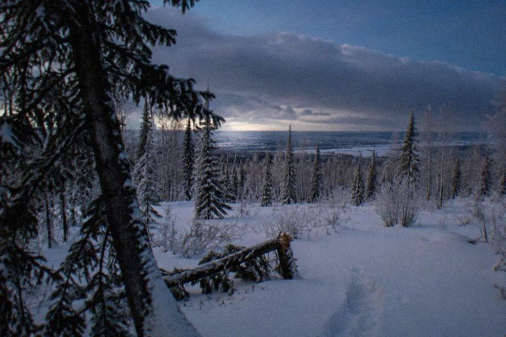 Low cloud bank drifting over a snowy boreal forest clearing at dusk