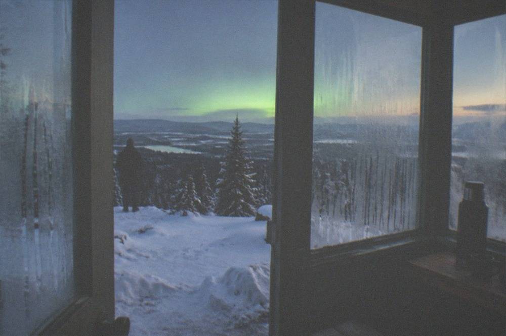 A glass-walled viewing room at night with dark forest beyond and faint green light on the horizon
