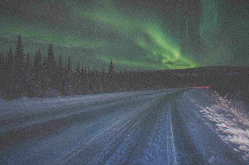 Green aurora glow above a dark snowy treeline with a faint road leading toward it