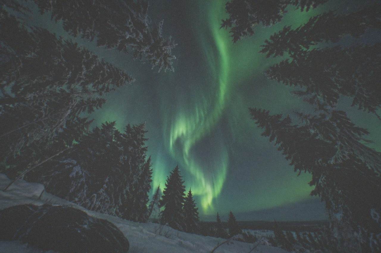 Green aurora curtains above a snowy forest clearing outside Fairbanks at night