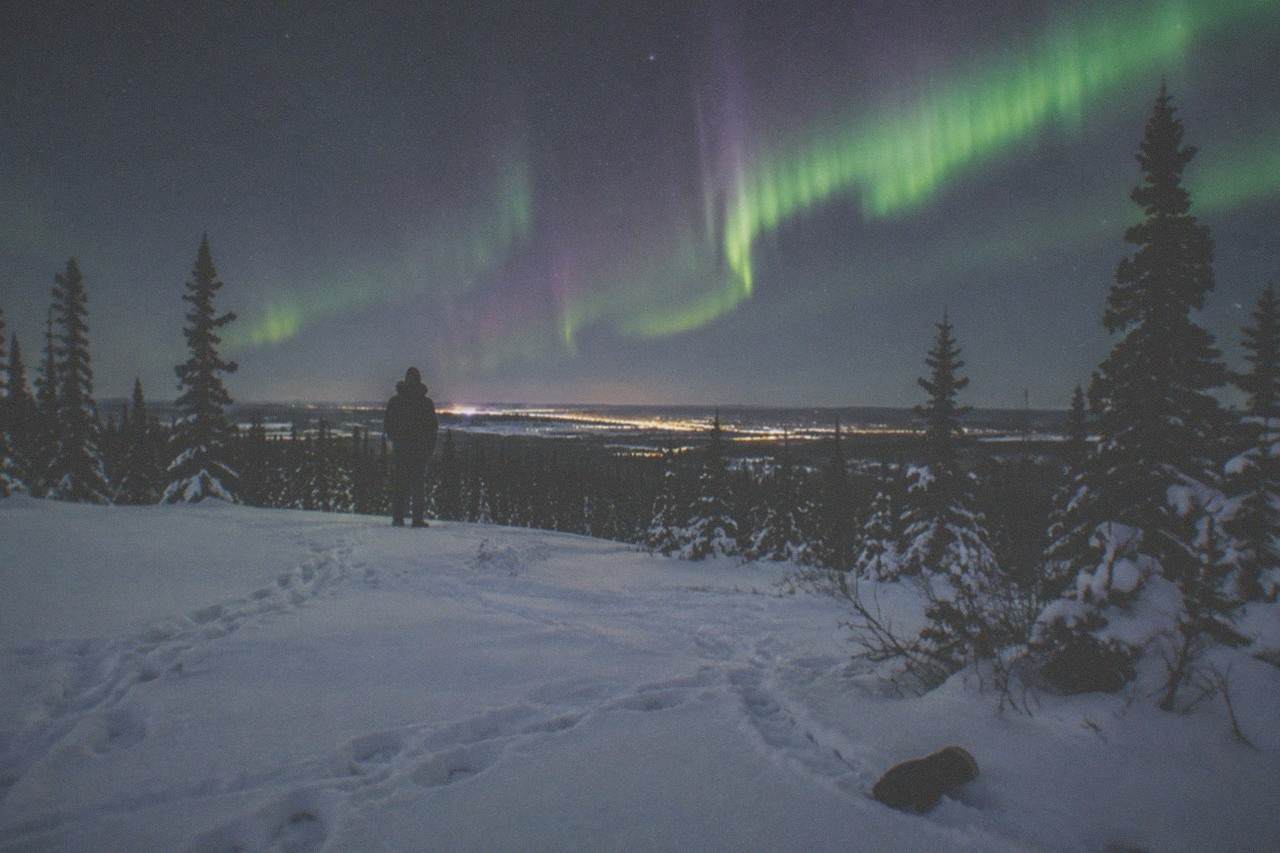 A green and violet aurora arcing over a snowy clearing with dark spruce trees on the edge of Fairbanks