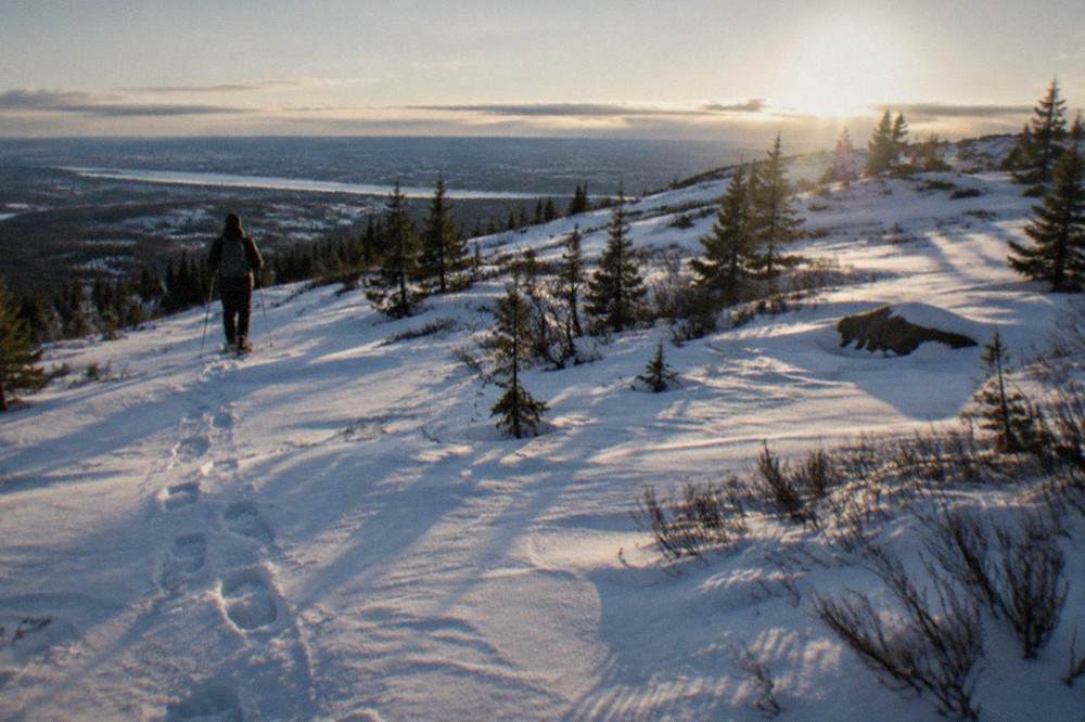 Low winter sun over snow-covered hills on the edge of Fairbanks with long blue shadows