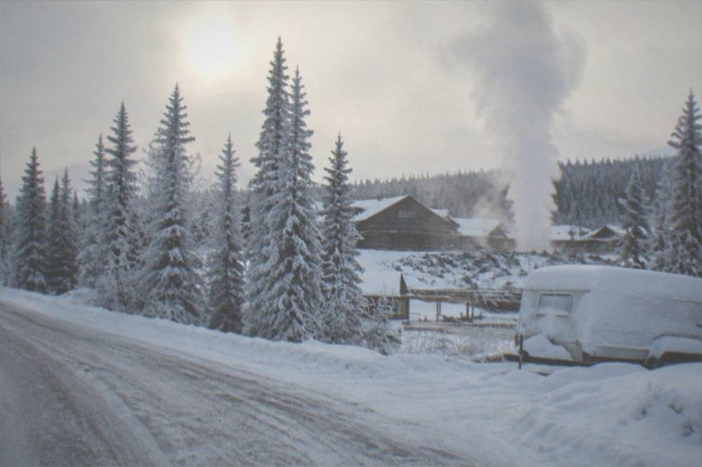 Frost-covered spruce trees along a quiet road northeast of Fairbanks in afternoon light