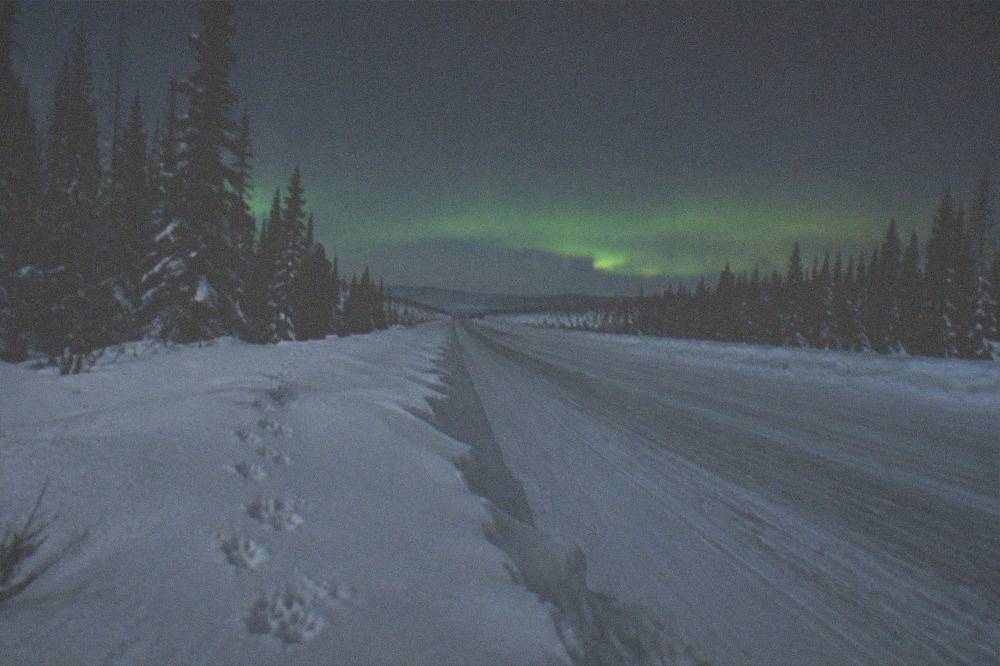 A winter road at night with snowbanks on both sides and a faint green glow on the horizon