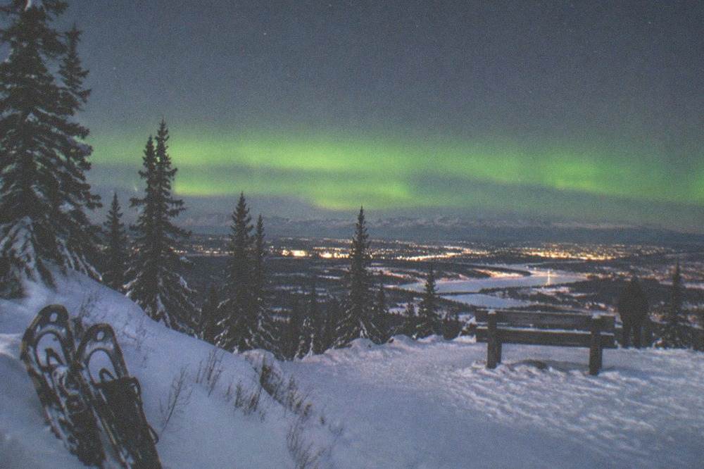 A snow-covered viewing clearing with a low green aurora band above a treeline in deep winter
