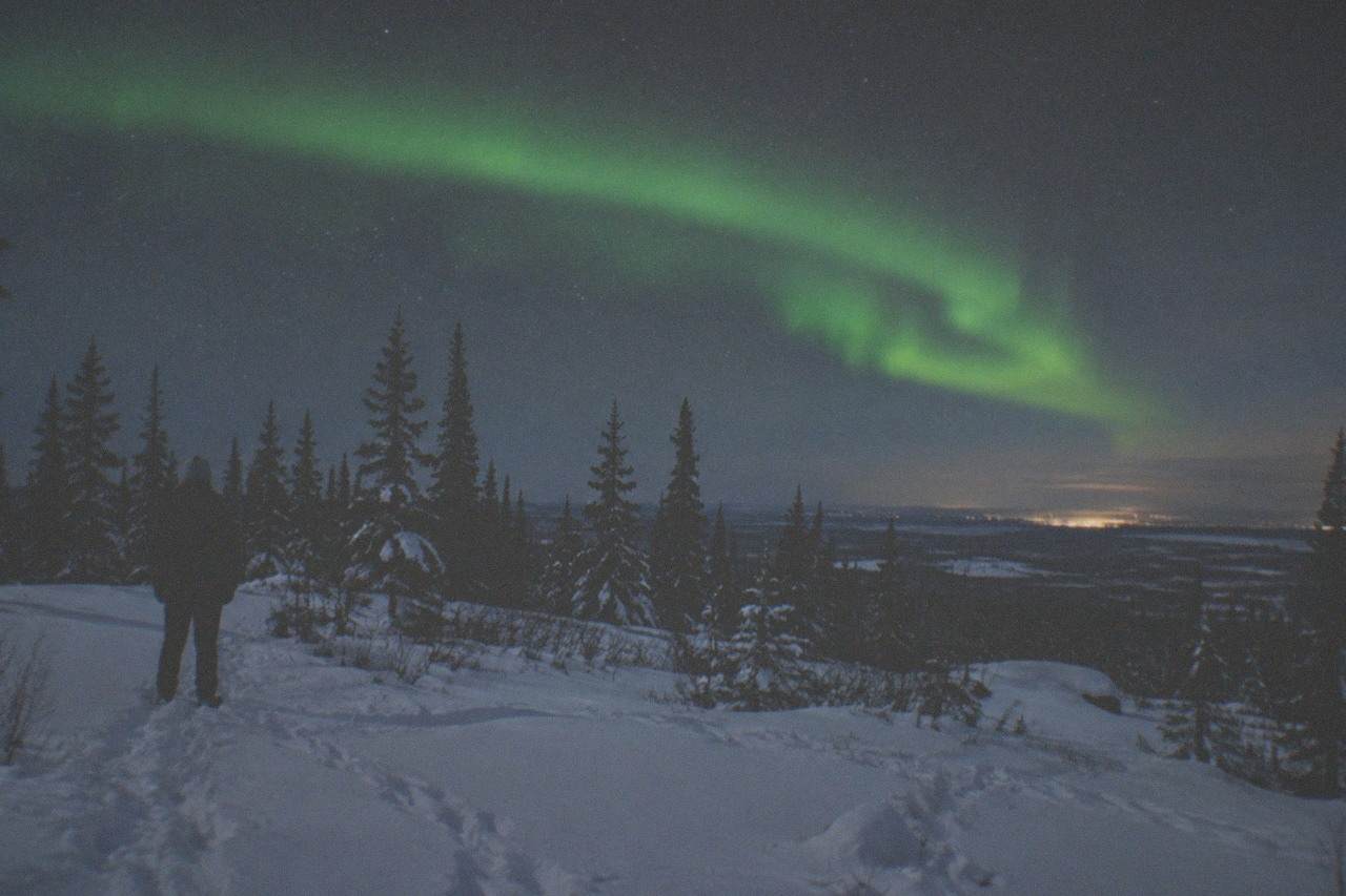 A snow-covered clearing north of Fairbanks under a green aurora arc above dark spruce trees