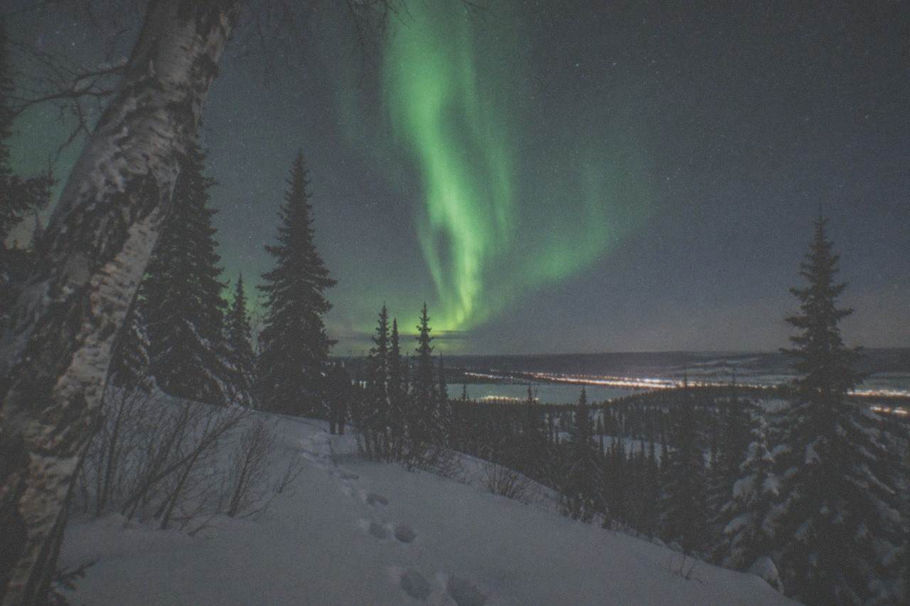 Green aurora curtain stretching over a snowy forest near Fairbanks under a star-filled sky