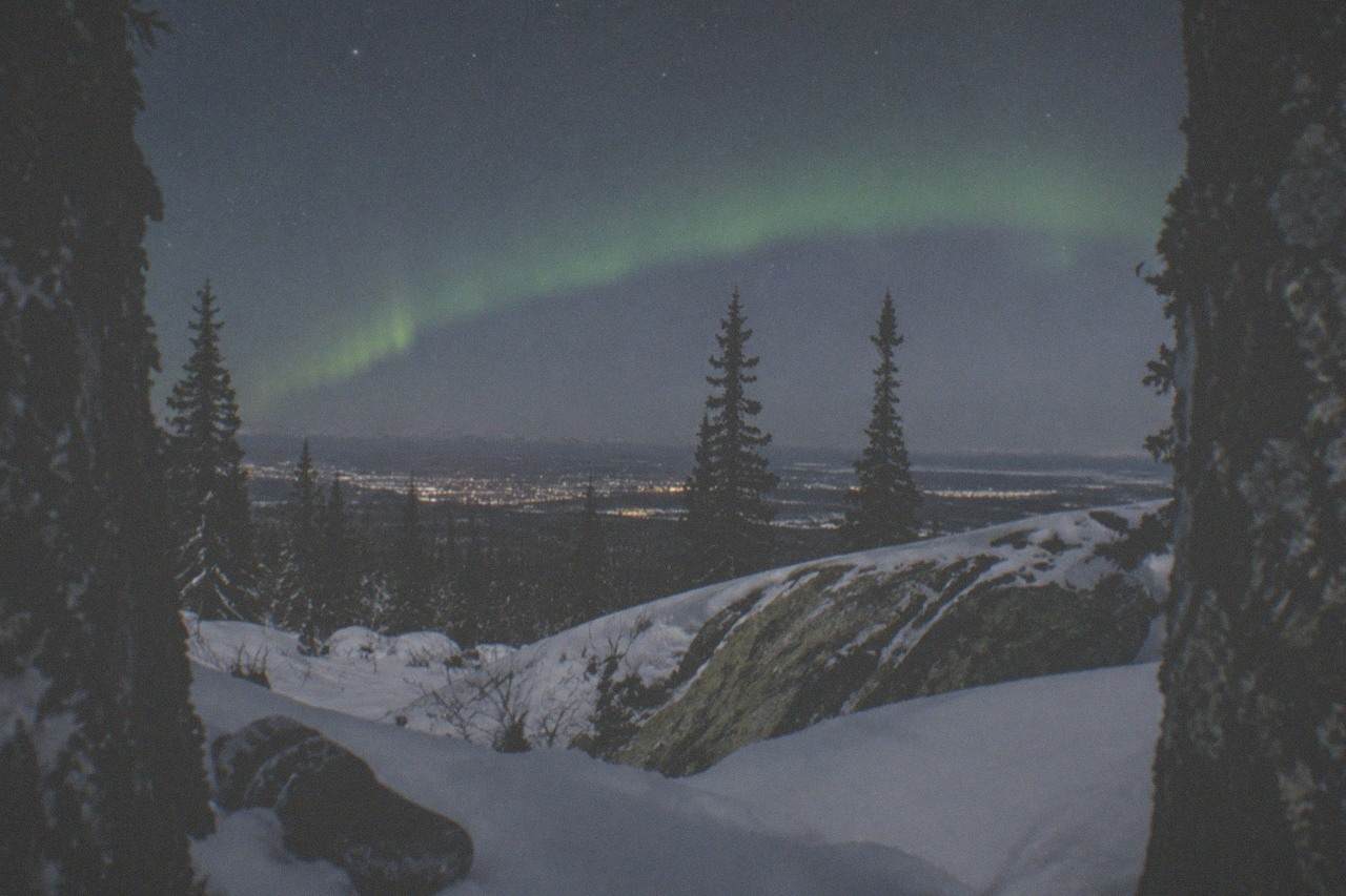 A snowy clearing outside Fairbanks at night with a faint green aurora band over dark spruce trees